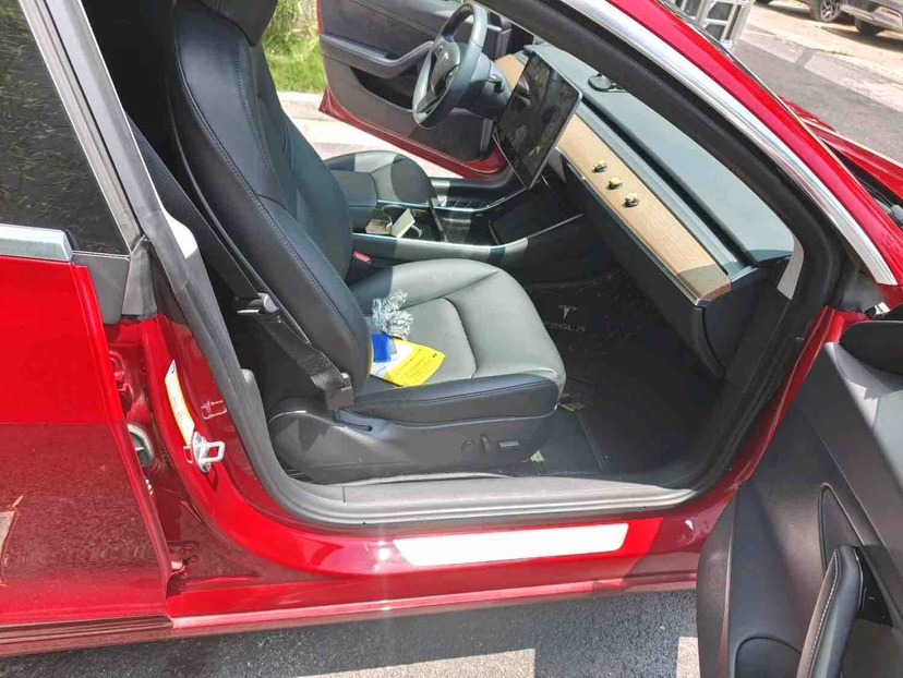 Tesla Model 3 2020 car image #14