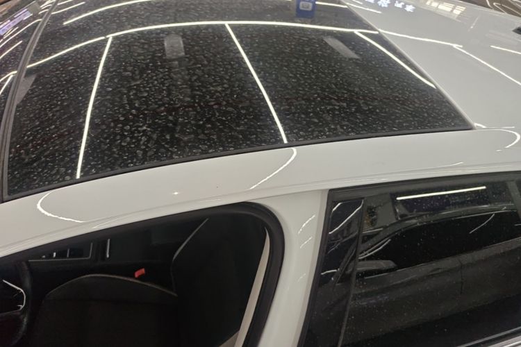 Volkswagen Golf 2021 car image #25