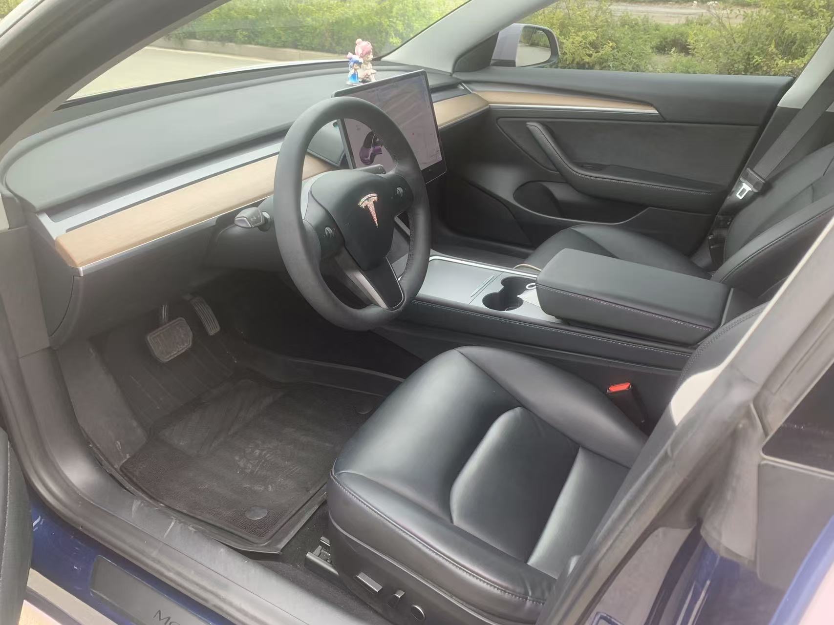 Tesla Model 3 2021 car image #6