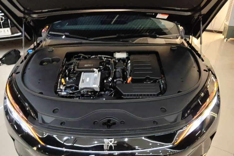 BYD Han 2024 car image #20
