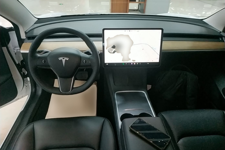 Tesla Model 3 2021 car image #11