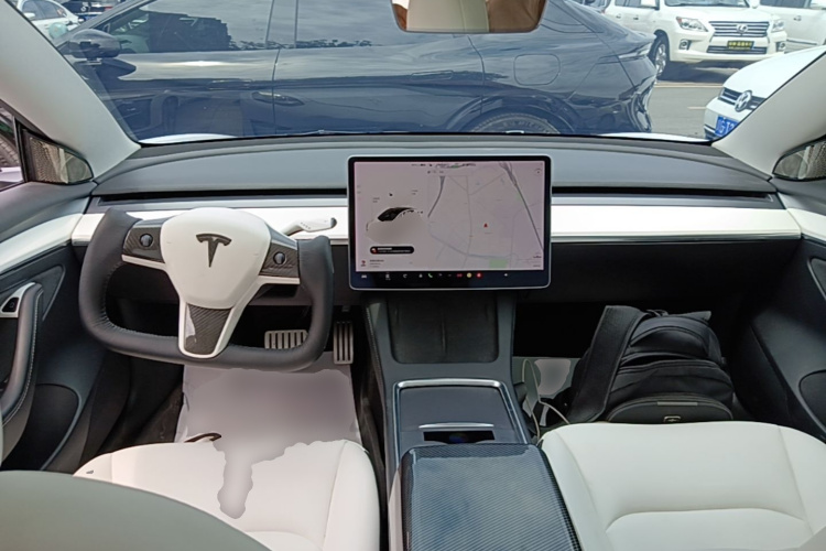 Tesla Model 3 2021 #10 Tesla Model 3 2021 car image #10