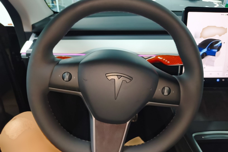 Tesla Model Y 2024 car image #15