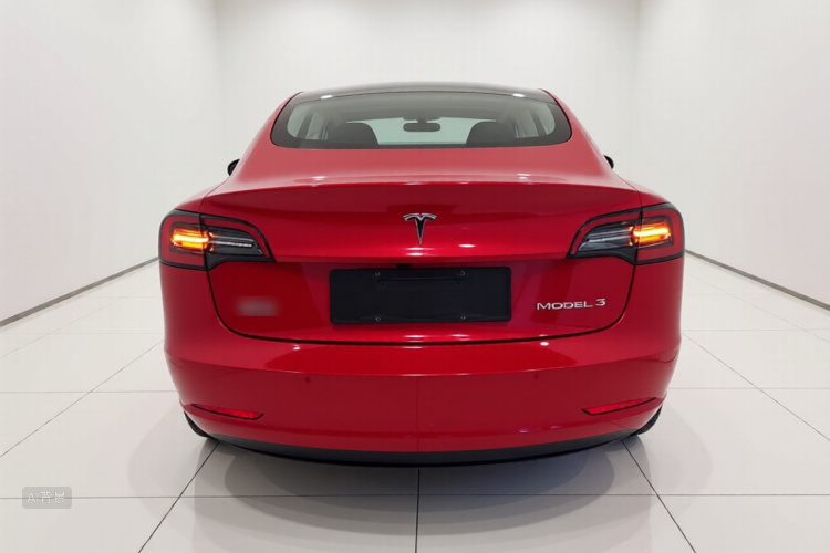 Tesla Model 3 2022 car image #6