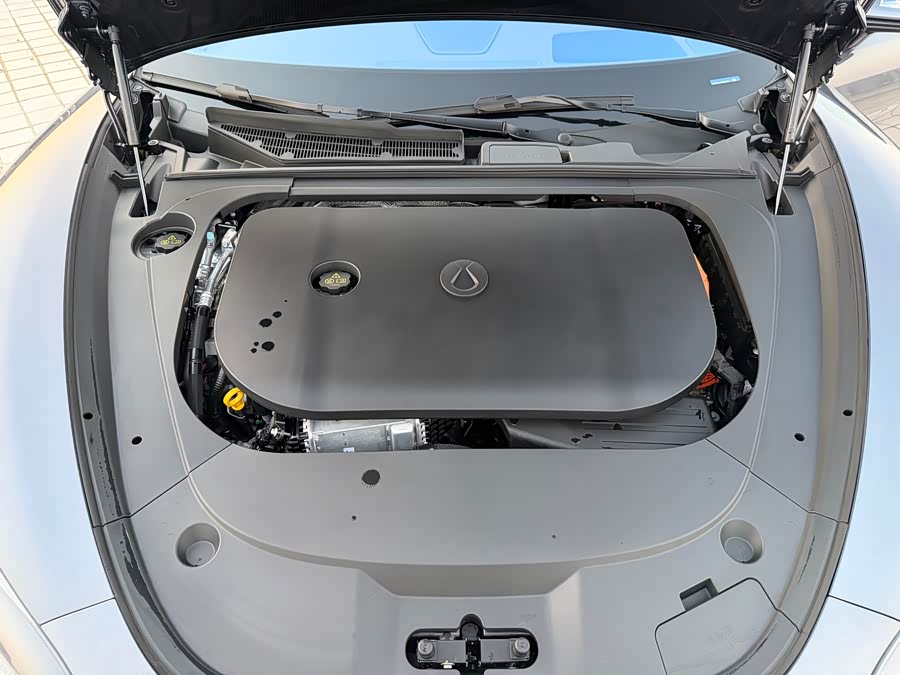 Denza Z9 2024 immagine di auto #40