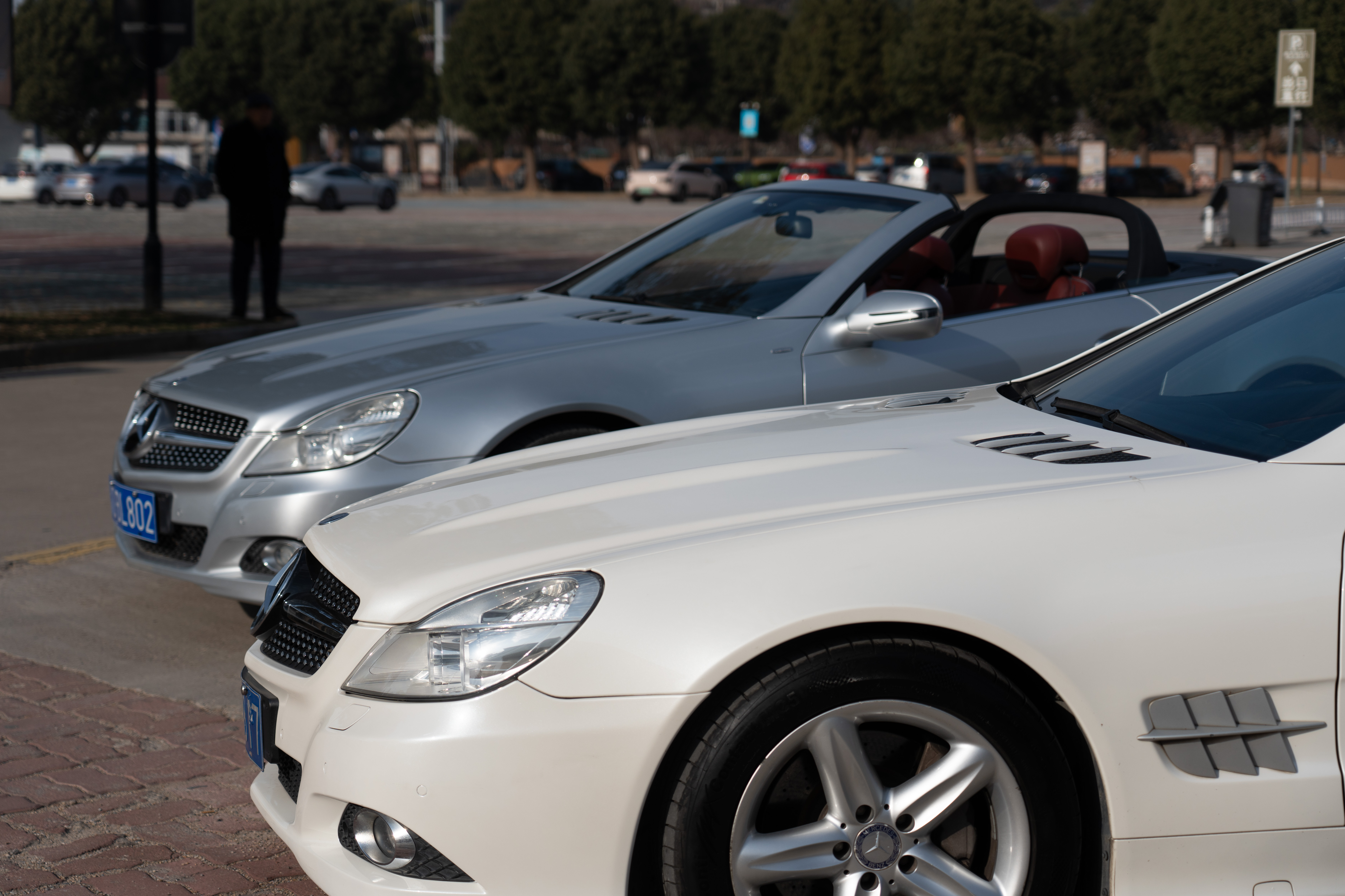 Mercedes-Benz SL Class 2010 immagine di auto #40