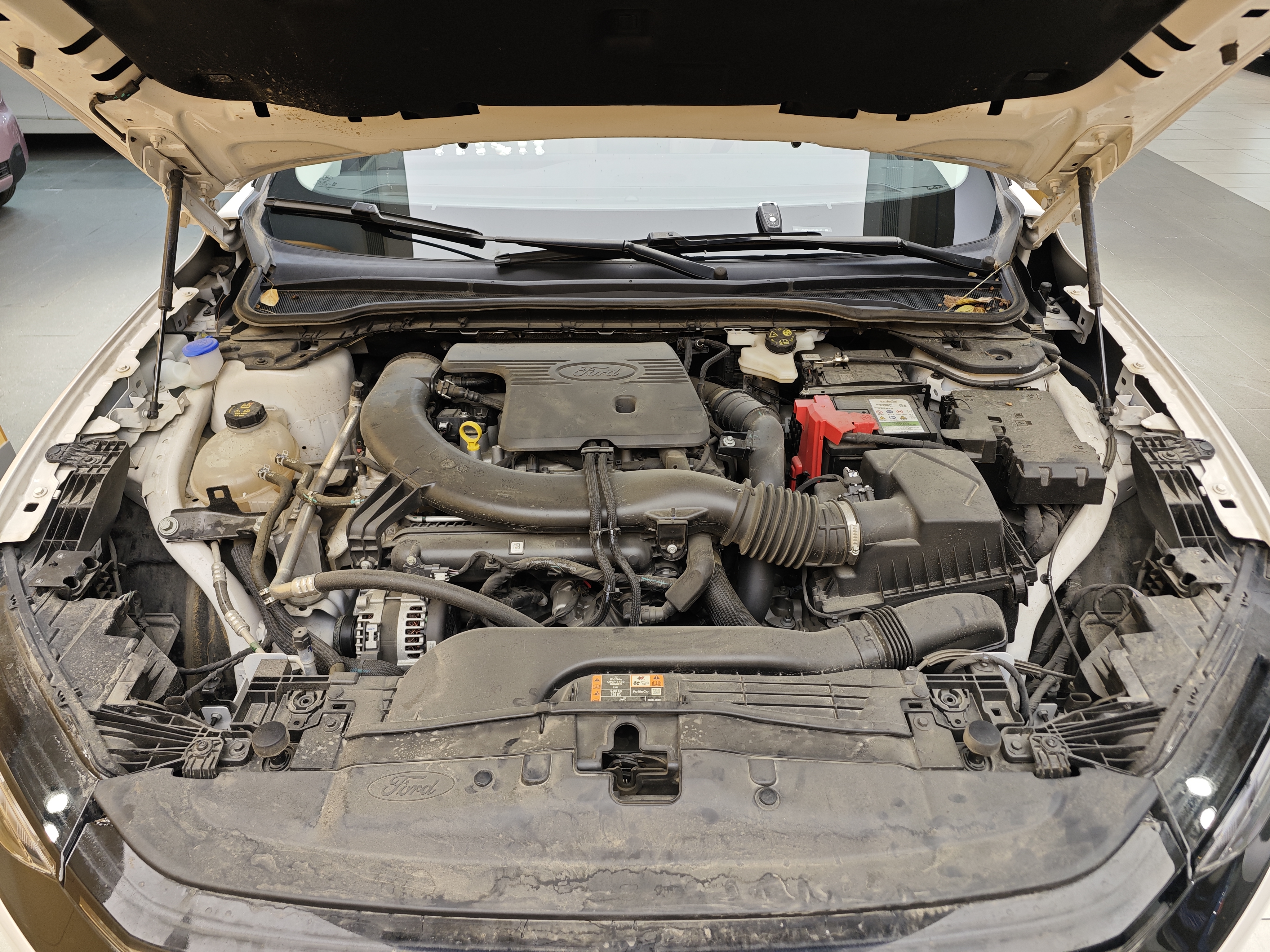 Ford Mondeo 2024 #40 Ford Mondeo 2024 car image #40