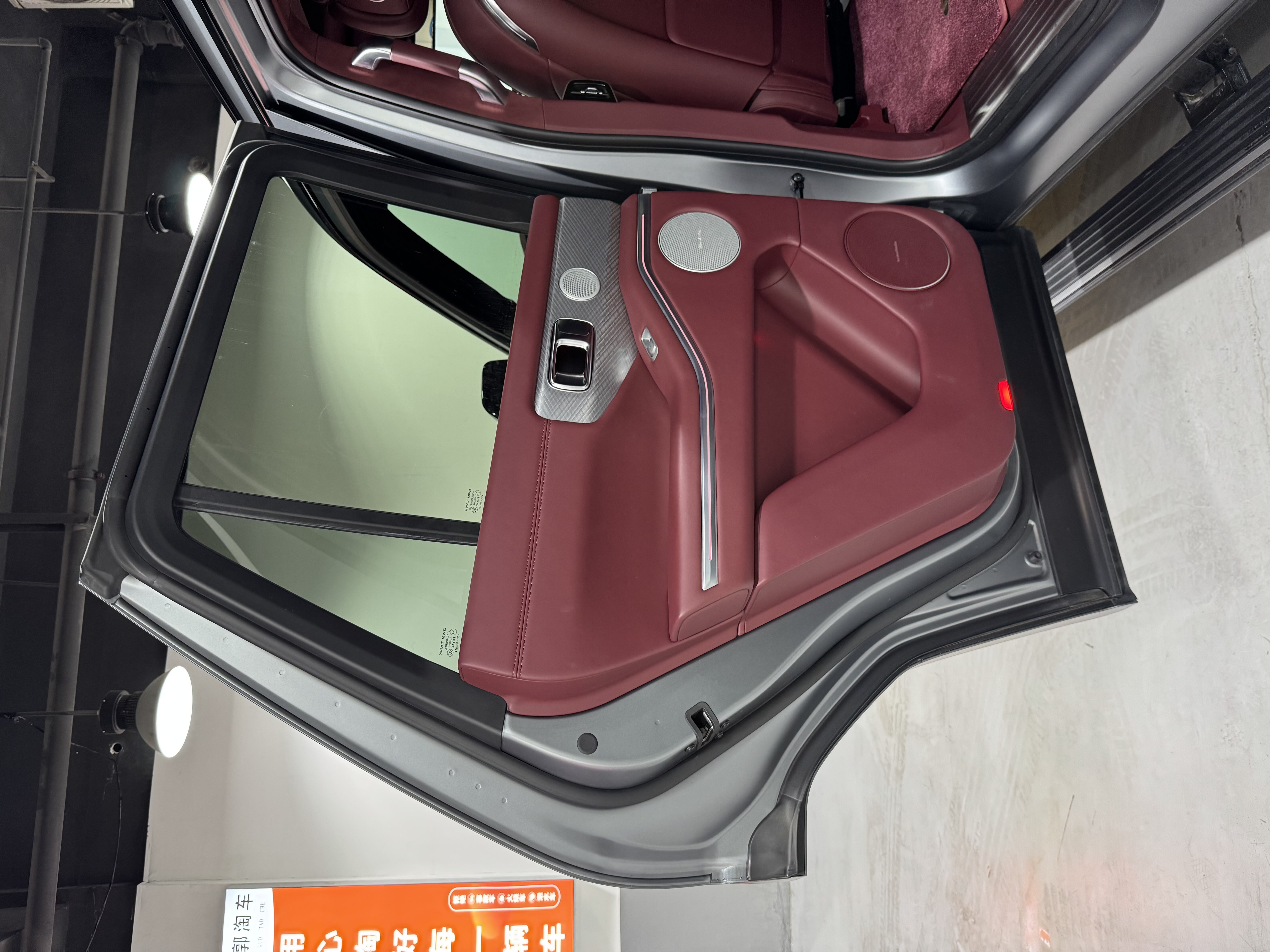 Tank 700 New Energy 2024 immagine di auto #40