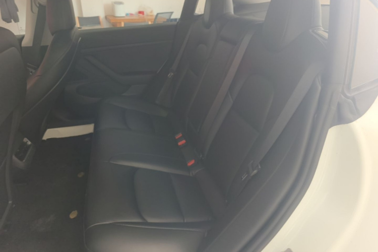 Tesla Model 3 2020 #17 Tesla Model 3 2020 car image #17