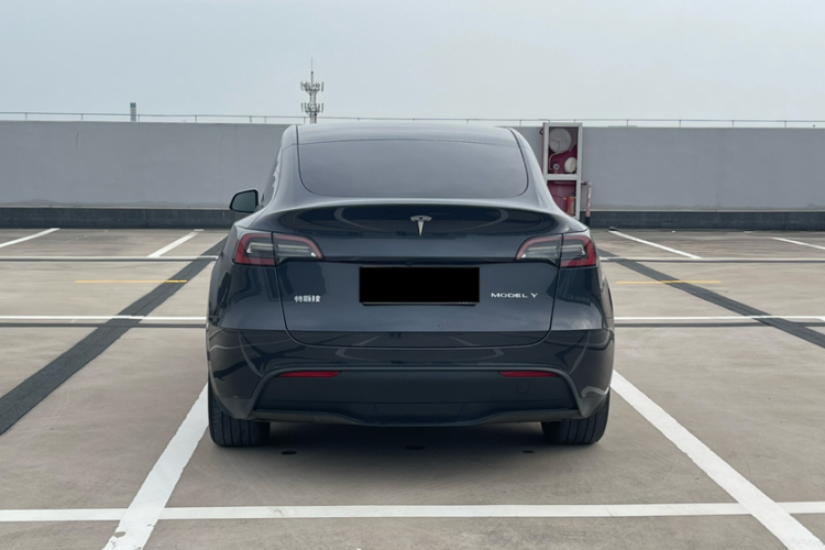 Tesla Model Y 2024 #6 Tesla Model Y 2024 car image #6