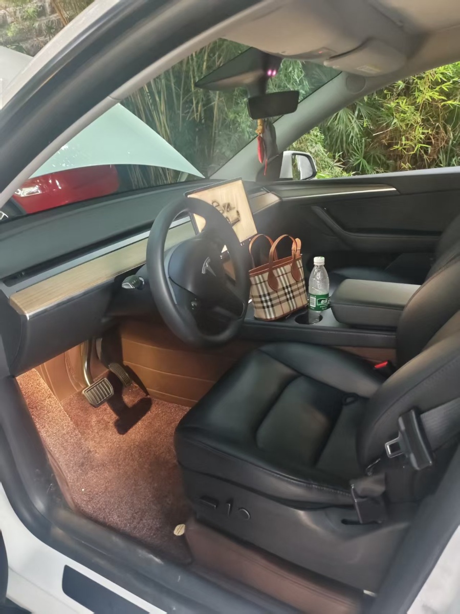 Tesla Model Y 2022 car image #8