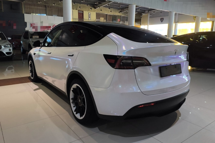 Tesla Model Y 2023 #5 Tesla Model Y 2023 car image #5