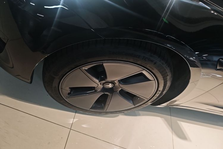 Tesla Model 3 2021 #9 Tesla Model 3 2021 car image #9