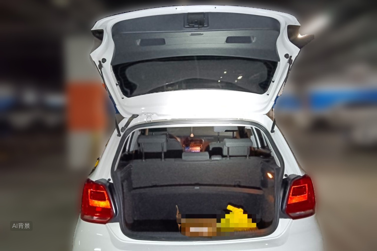 Volkswagen Polo 2017 car image #21