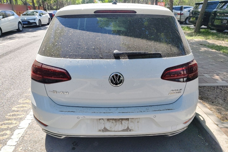 Volkswagen Golf 2019 #6 Volkswagen Golf 2019 car image #6