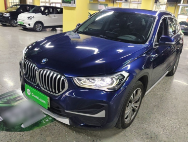 BMW X1 New Energy 2020 car image 