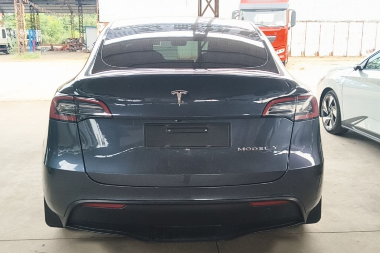 Tesla Model Y 2021 car image #4