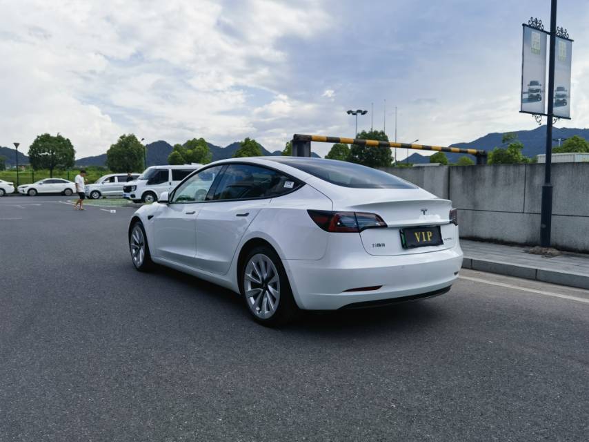 Tesla Model 3 2021 #5 Tesla Model 3 2021 car image #5