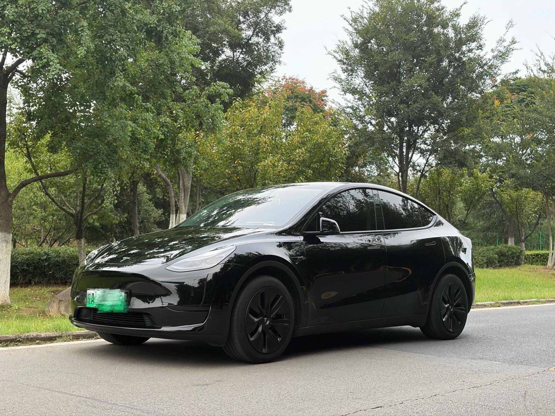 Tesla Model Y 2024 Tesla Model Y 2024 car image