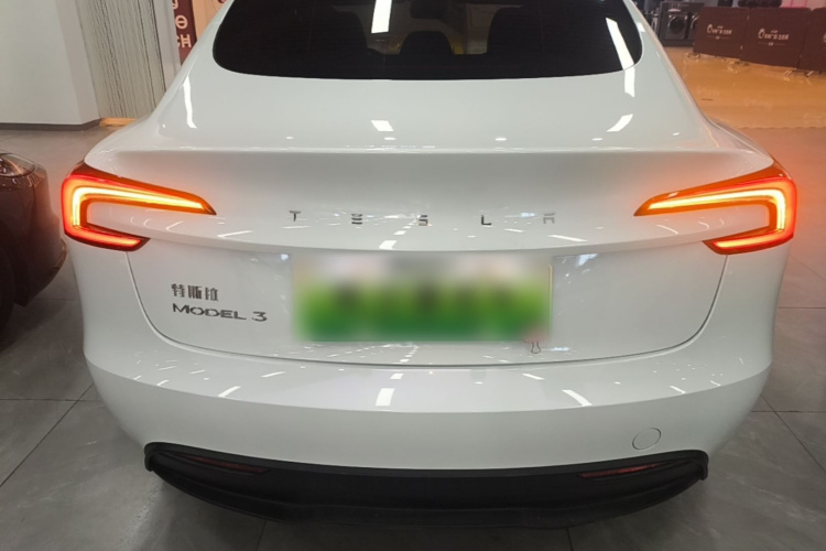 Tesla Model 3 2025 car image #6