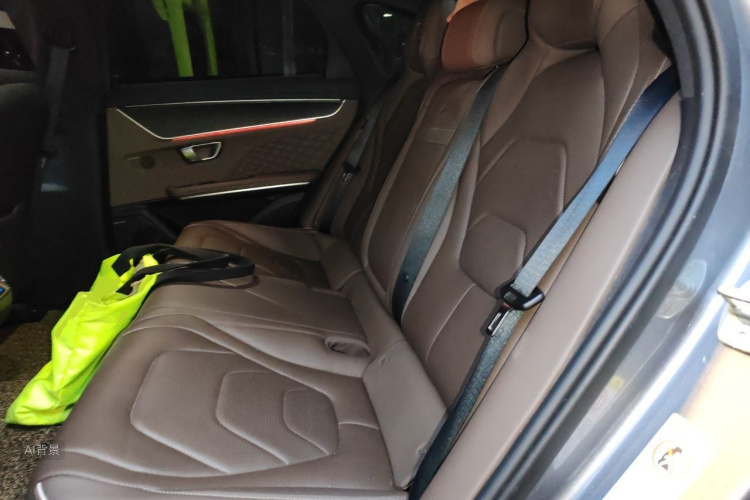 BYD Han 2022 car image #19