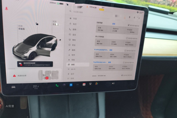 Tesla Model Y 2021 car image #15