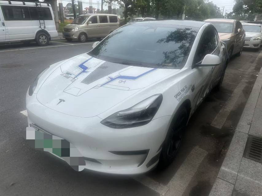 Tesla Model 3 2021 Tesla Model 3 2021 car image