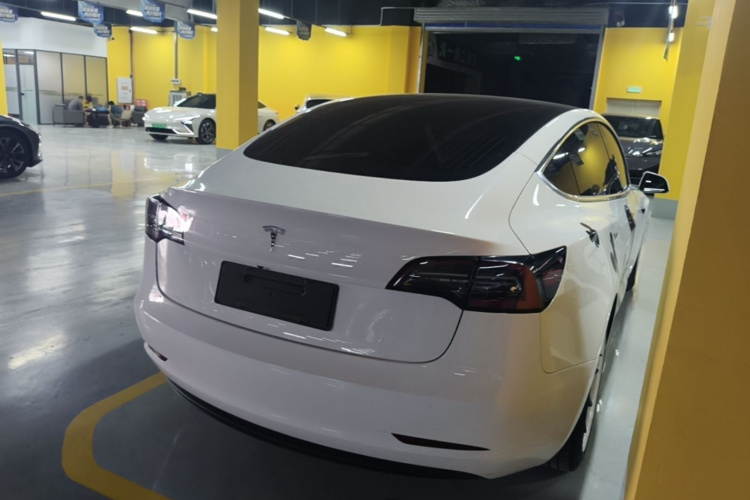 Tesla Model 3 2020 #7 Tesla Model 3 2020 car image #7