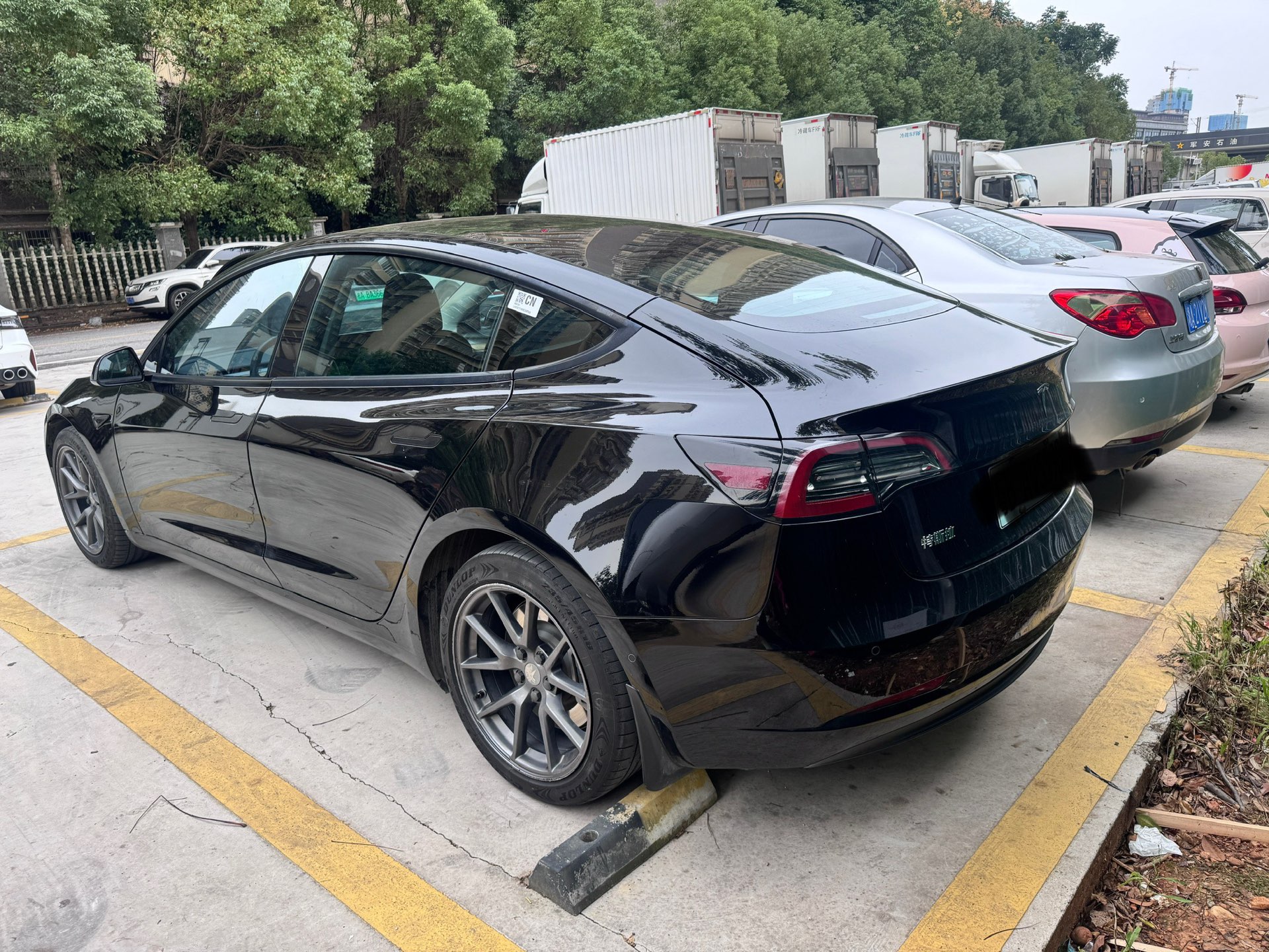 Tesla Model 3 2021 #7 Tesla Model 3 2021 car image #7