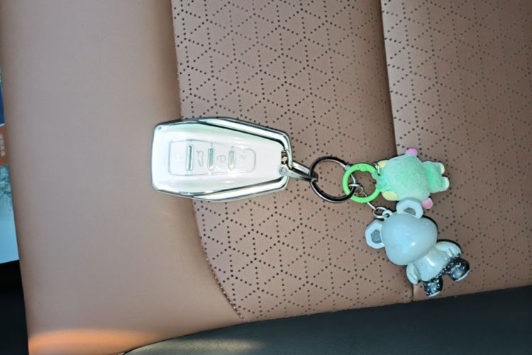 GEELY Emgrand 2020 #9 GEELY Emgrand 2020 imagem de carro #9