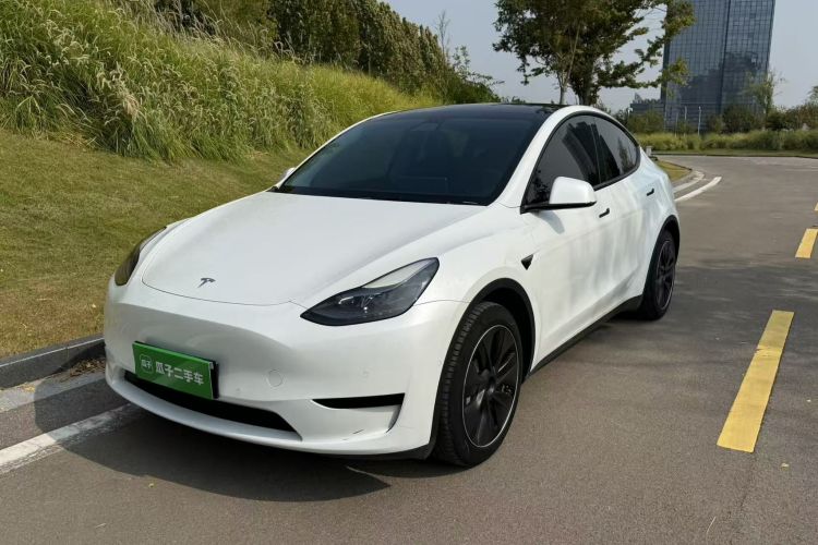 Tesla Model Y 2022 #2 Tesla Model Y 2022 car image #2