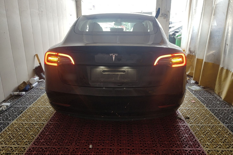 Tesla Model 3 2021 #6 Tesla Model 3 2021 car image #6