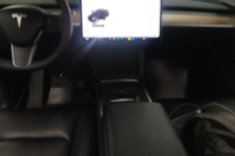 Tesla Model Y 2021 car image #14