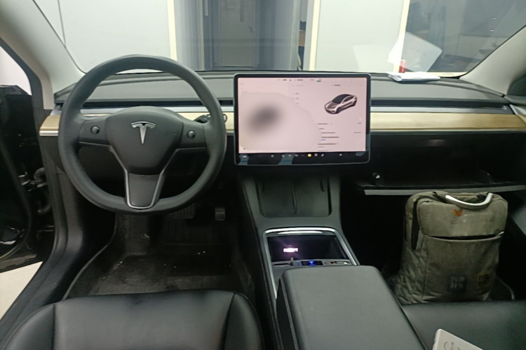 Tesla Model 3 2023 immagine di auto #10