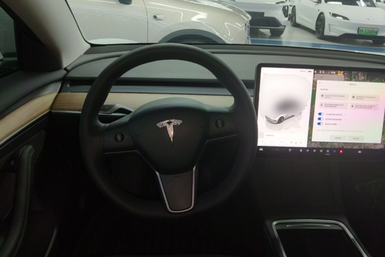 Tesla Model 3 2023 car image #11