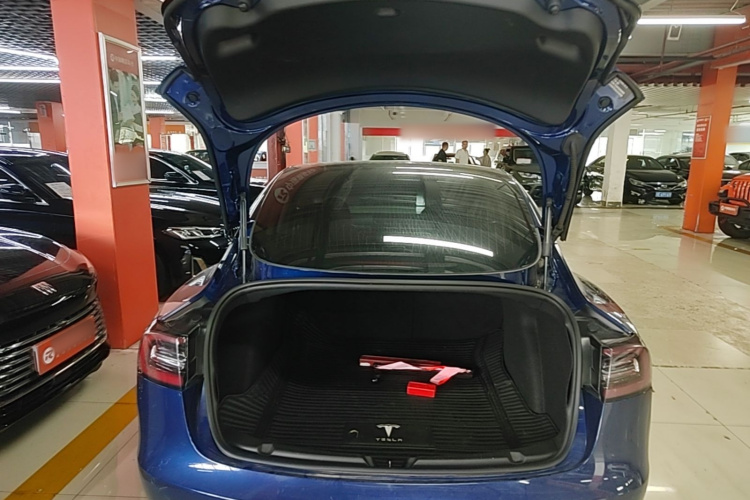 Tesla Model 3 2020 #21 Tesla Model 3 2020 car image #21