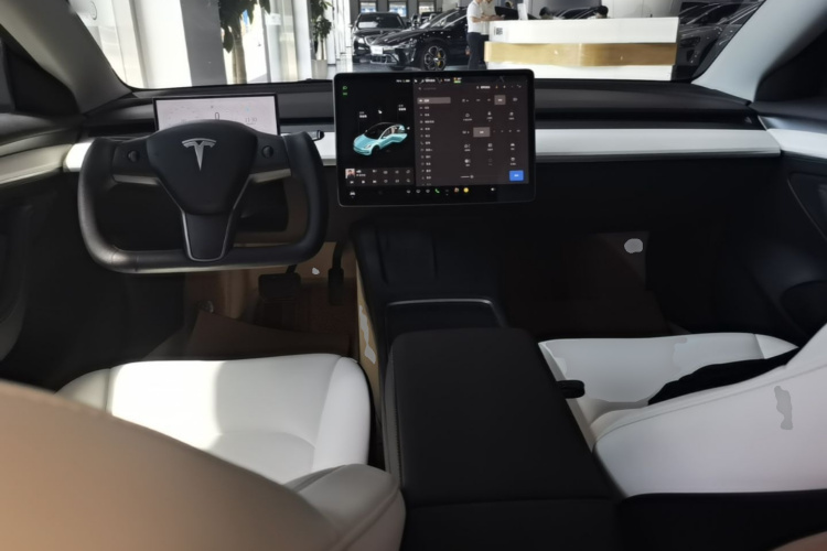 Tesla Model 3 2021 #10 Tesla Model 3 2021 car image #10