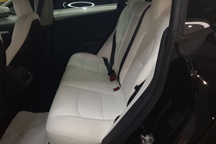 Tesla Model 3 2022 #17 Tesla Model 3 2022 car image #17