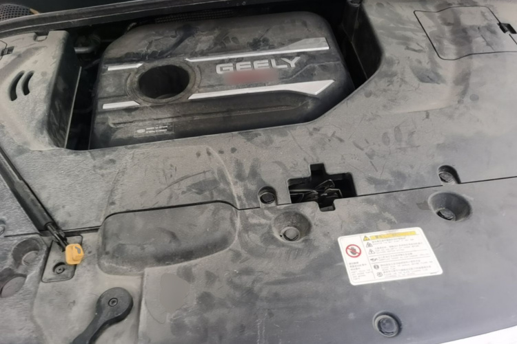 GEELY Emgrand GS 2020 car image #22