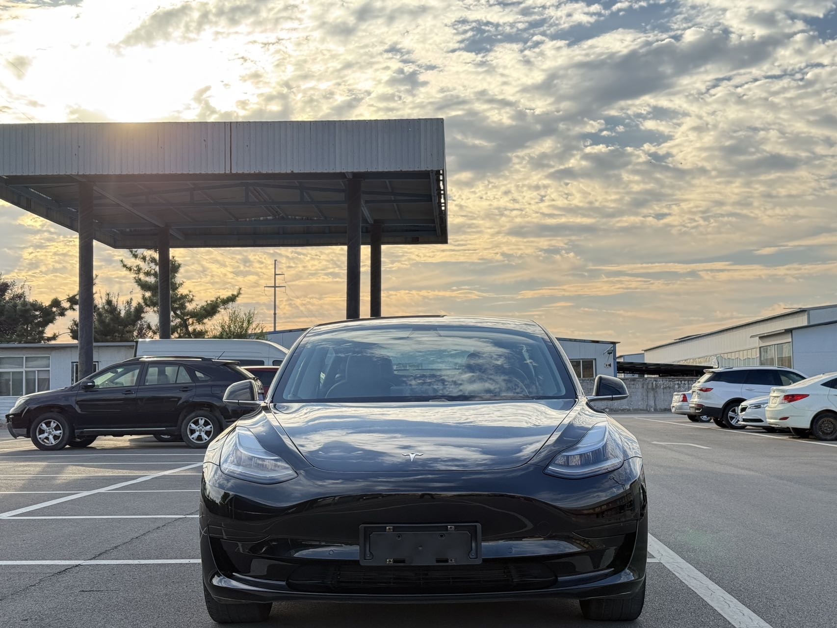 Tesla Model 3 2020 car image #2