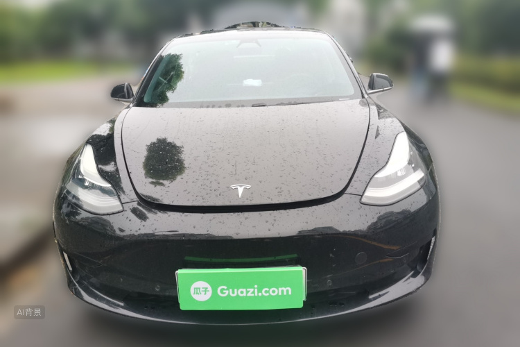 Tesla Model 3 2020 car image #3