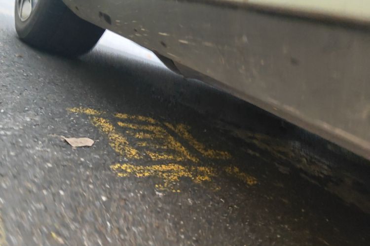 比亚迪 汉 2021 汽车图片 #23