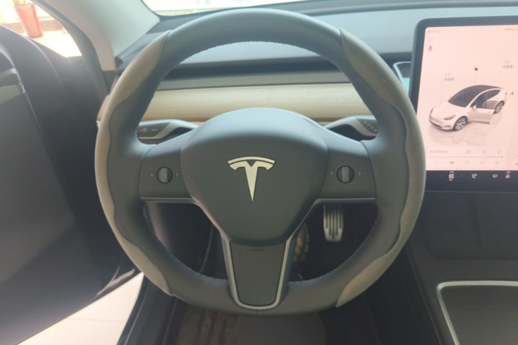 Tesla Model Y 2023 #11 Tesla Model Y 2023 car image #11