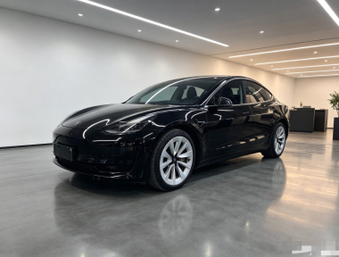 Tesla Model 3 2023 Tesla Model 3 2023 car image