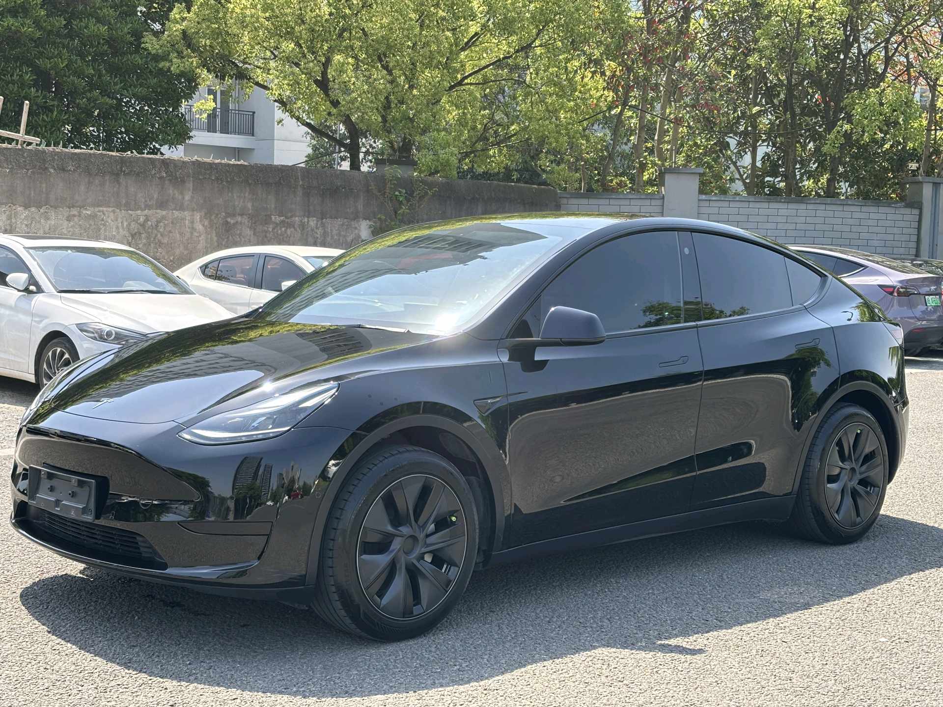 Tesla Model Y 2023 car image 