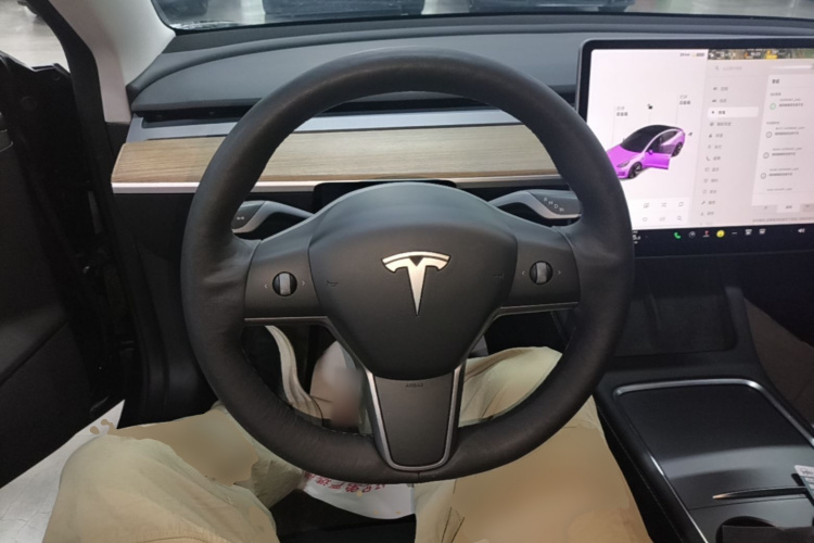 Tesla Model 3 2021 #11 Tesla Model 3 2021 immagine di auto #11