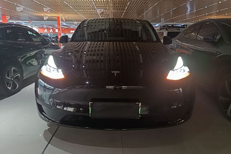 Tesla Model Y 2024 #3 Tesla Model Y 2024 car image #3