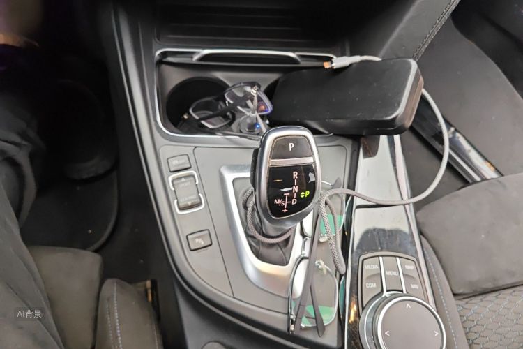 BMW 3 Series 2017 car image #16