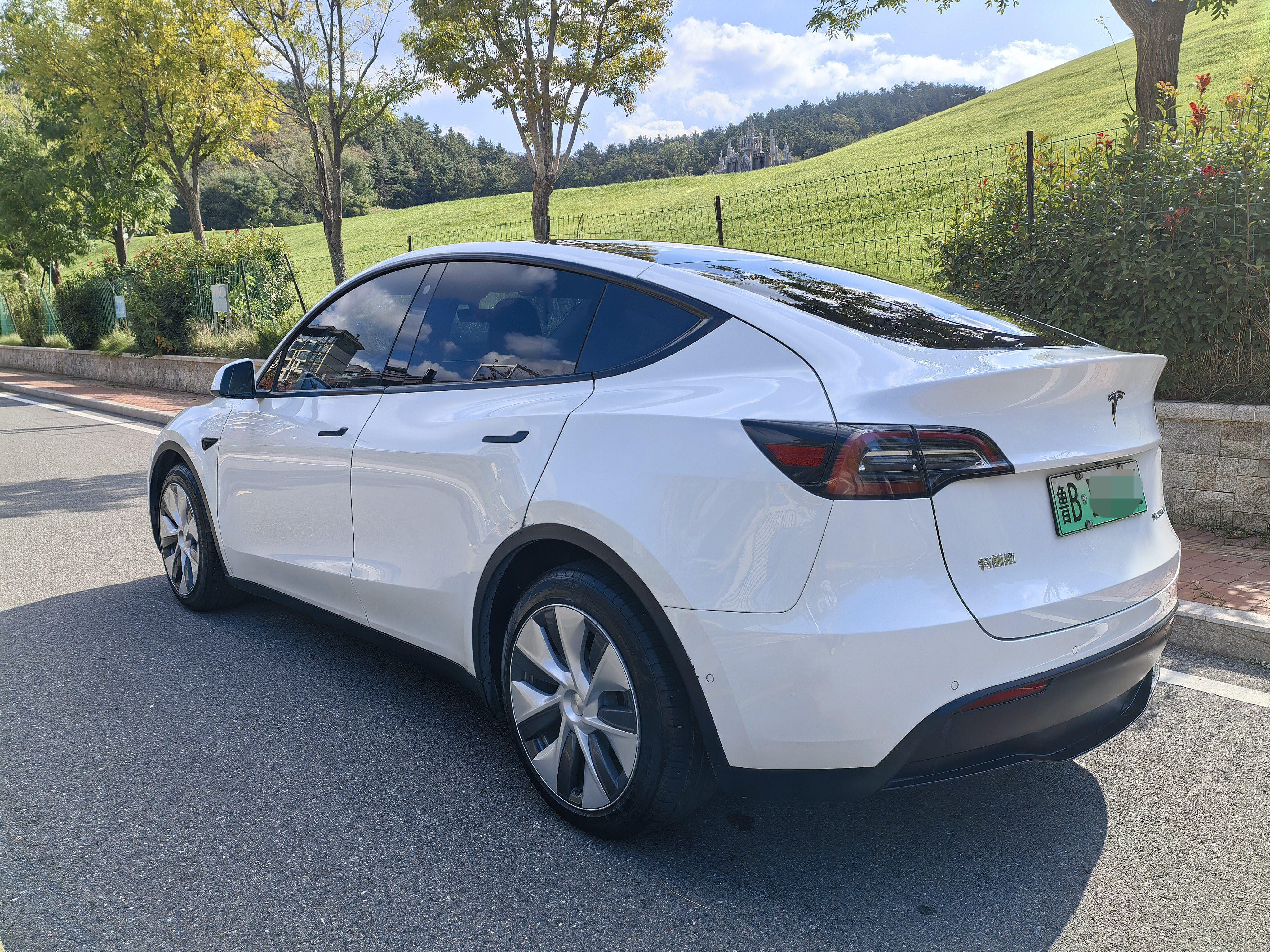 Tesla Model Y 2021 #8 Tesla Model Y 2021 immagine di auto #8