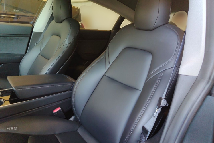 Tesla Model 3 2020 #17 Tesla Model 3 2020 car image #17